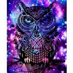 Norimpex Diamantové malování Magická sova 30 x 40 cm – Hledejceny.cz