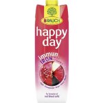 Rauch Happy Day Immun Iron džus s vitamíny 1 l – Zboží Dáma