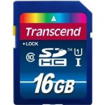 Transcend SDHC 16 GB UHS-I U1 TS16GSDU1 – Zbozi.Blesk.cz