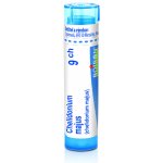 CHELIDONIUM MAJUS POR 9CH GRA 1X4G – Hledejceny.cz