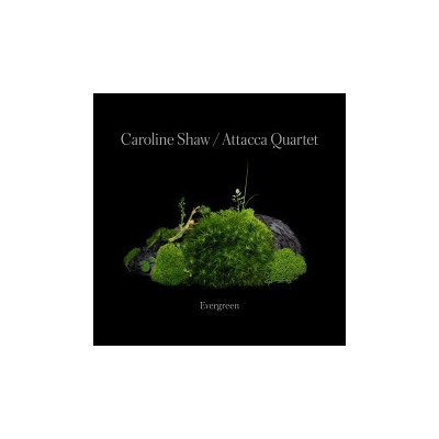 Shaw Caroline/Attacca Quartet - Evergreen CD