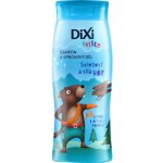 Dixi Sviště šampon a sprchový gel pro kluky 250 ml – Hledejceny.cz