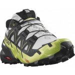Speedcross 6 GTX M L47171000 lunar rock/black/sunny lime – Zbozi.Blesk.cz