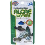 Hikari Algae Wafers 20 G – Zboží Dáma