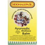 Siddhalepa Ajurvédský balzám 25 g – Zbozi.Blesk.cz