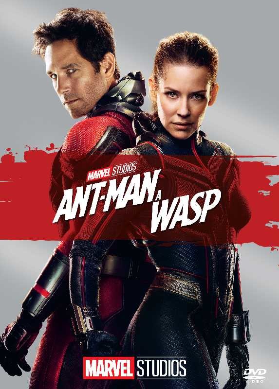 Ant-Man a Wasp DVD