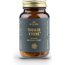 VitalVibe Tribulus Xtreme Bulgarian 90 kapslí