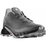 Salomon Alphacross 5 473133 29 W0 Pewter/Black/Ghost Gray – Zboží Dáma