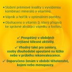 Walmark Vápník Hořčík Zinek Osteo 101725 90 tablet – Hledejceny.cz