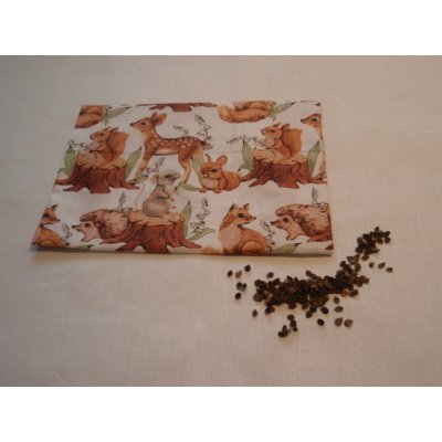 Pro útulný domov Nahřívací polštářek Zvířátka hnědá s pohankovými slupkami – Zboží Dáma