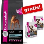 Eukanuba Adult Light Large Breed 15 kg – Zboží Mobilmania