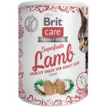 Brit Care Cat Snack Superfruits Lamb 100 g – Zbozi.Blesk.cz