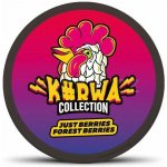Kurwa collection just berries forest berries 12 mg 20 sáčků – Sleviste.cz