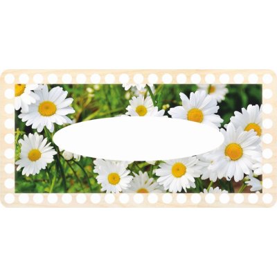 Dřevěný svět online Víko na kapesníky obdélník 24x12 cm Sedmikrásky – Zboží Dáma