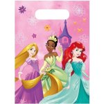 Grabo Taštičky plastové Princess Disney 16,5 x 23 cm 6 ks – Hledejceny.cz