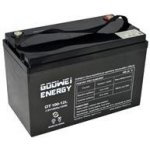 Goowei Energy OTL100-12 100Ah 12V – Hledejceny.cz