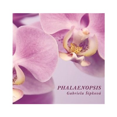 Phalaenopis - Šípková Gabriela