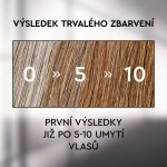 Plantur 39 Šampon s Anti-Grey efektem 200 ml – Zboží Dáma