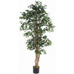 Umělý strom Fikus zelený - přírodní kmeny, 185cm – Hledejceny.cz