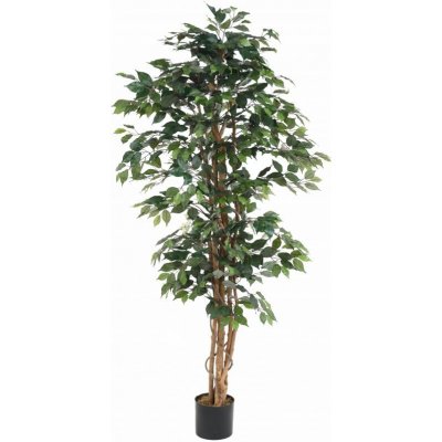 Umělý strom Fikus zelený - přírodní kmeny, 185cm – Hledejceny.cz