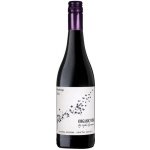 Sophie Germanier Pinotage 14,5% 0,75 l (holá láhev) – Hledejceny.cz