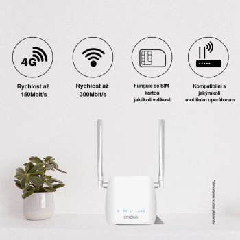 STRONG 4GROUTER300M