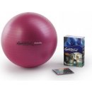 PEZZI GymBall MAX 65 cm