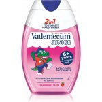 Vademecum Junior 2 in 1 pro děti 6+ let 75 ml – Hledejceny.cz