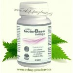 OKG factor Base AntiAge 60 tablet – Hledejceny.cz