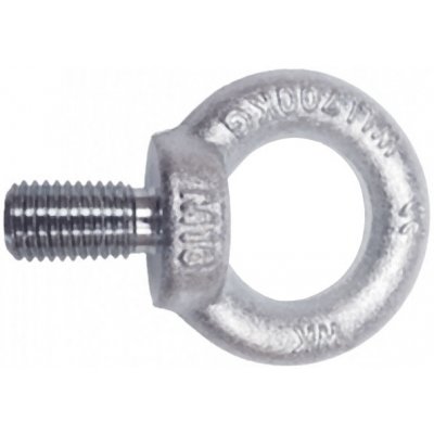 Závěsný šroub M 8x13mm DIN580 Zn 140kg – Sleviste.cz