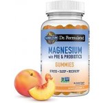 Garden of Life Dr. Formulated Hořčík s prebiotiky a probiotiky 60 žvýkacích kapslí – Hledejceny.cz