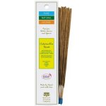 Pure Natural Incense Vonné tyčinky Citronella Neem 10 ks – Hledejceny.cz