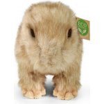 Eco-Friendly kapybara 30 cm – Zbozi.Blesk.cz