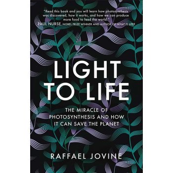 Light to Life - Raffael Jovine