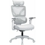 AlzaErgo Chair Delta 1 Plus – Zboží Dáma
