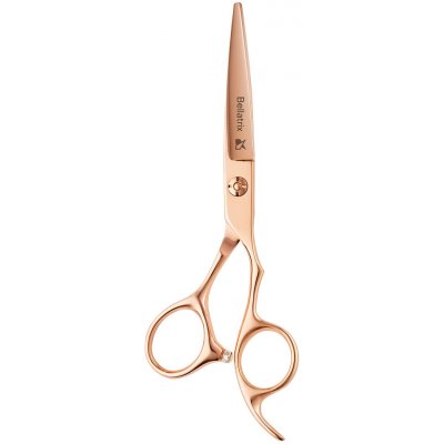 Leader Cam Nůžky Astrale Bellatrix 5,5" – Zboží Mobilmania