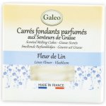 Galeo vonný vosk Fleur de Lin 40 g – Hledejceny.cz