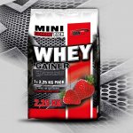 Vision Nutrition WHEY GAINER 2250 g – Hledejceny.cz