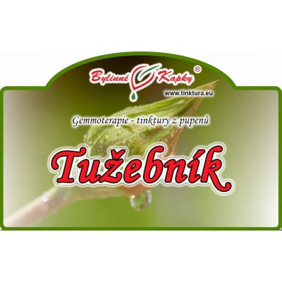 Bylinné kapky Gemmoterapie Tužebník pupeny tinktura z pupenů 5 ml – Hledejceny.cz
