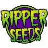 Semena konopí Ripper Seeds Zake semena neobsahují THC 5 ks