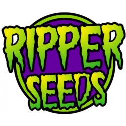 Ripper Seeds Zake semena neobsahují THC 5 ks