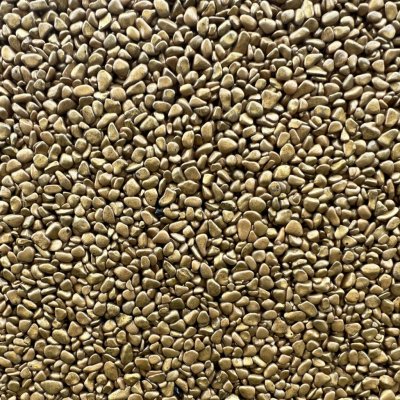 Báča Beton Kamenný koberec Gold hrubý 4 – 8 mm 2,6 m² – Sleviste.cz