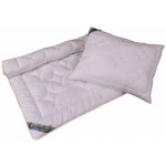 2G souprava Lyocell 900g 135x200 70x90 – Hledejceny.cz