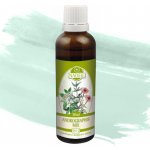 Naděje Andrographis mix SV12 50 ml – Hledejceny.cz