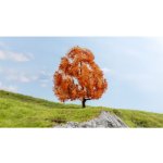 Noch podzimní javor 20155 – Zboží Dáma