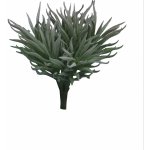 Tlustice - Crassula Himalaya šedá v15 cm (N315499) – Zboží Mobilmania