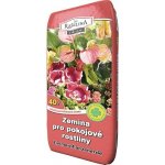 Rašelina Soběslav Zemina pro pokojové rostliny 40 l – Hledejceny.cz