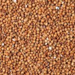 Fauna Hradil Čirok červený - Milo 10 kg – Zboží Mobilmania