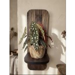 WoodenBotanery Nástěnná polička na květiny Unda akácie – Hledejceny.cz