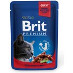 Brit Premium Cat Beef Stew & Peas 100 g – Sleviste.cz